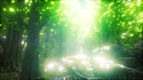 Morning-in-the-Misty-Spring-Forest-with-Sun-Rays